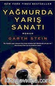 Yağmurda Yarış Sanatı