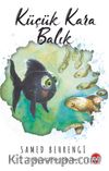 Küçük Kara Balık
