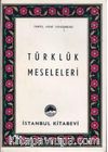 Türklük Meseleleri