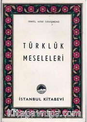 Türklük Meseleleri
