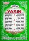 41 Yasin Fihristli (Orta Boy) Yeşil Kapak