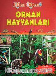 Orman Hayvanları / Eğlen Öğren