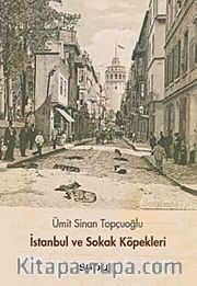 İstanbul ve Sokak Köpekleri
