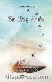 Bir Düş Kırıldı