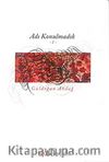 Adı Konulmadık-1