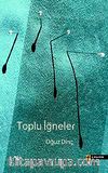 Toplu İğneler