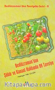 Bediüzzaman'dan Şükür ve Kanaat Hakkında 99 Tavsiye / Bediüzzaman'dan Tavsiyeler Serisi-9