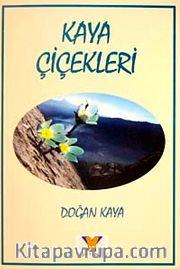 Kaya Çiçekleri