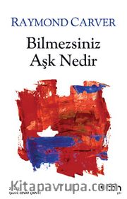 Bilmezsiniz Aşk Nedir