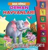 Orman Hayvanları Bas-Dinle (Sesli Kitap)