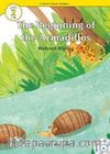 The Beginning of the Armadillos +CD (eCR Level 2)