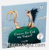 Canını En Çok Ne Yakar?