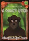 A Bear's Word
