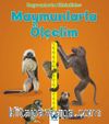 Maymunlarla Ölçelim / Hayvanlarla Etkinlikler