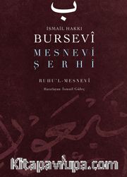 Mesnevi Şerhi