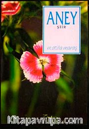 Aney