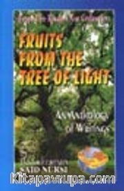 Fruits From The Tree of Light