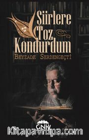 Şiirlere Toz Kondurdum