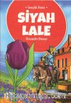 Siyah Lale