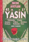 41 Yasin Fihristli (Kod:251)
