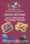Eğitim Kartları Serisi 4 / Sinir Sistemi Duyu Organları-Endokrin Sistemi