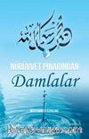 Nübüvvet Pınarından Damlalar