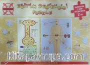 Eğitim Destekçisi Puzzle - İlköğretim 7. Sınıf Eğitim Serisi 2 B) / Konu: İç Salgı Bezleri ve Emilim