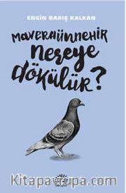 Maveraünnehir Nereye Dökülür?
