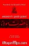 Mesnevi-i Şerif Şerhi 13