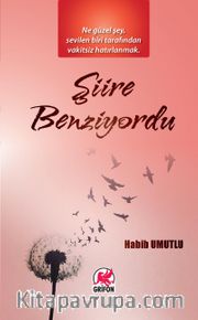 Şiire Benziyordu