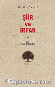 Şiir ve İrfan - Sufi Şairin İzinde 