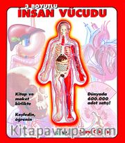 3 Boyutlu İnsan Vücudu