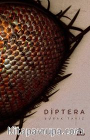 Diptera
