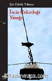 İncir Çekirdeği Yanığı