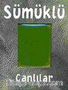 Sümüklü Canlılar