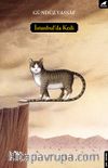 İstanbul’da Kedi
