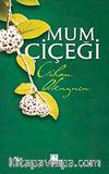 Mum Çiçeği