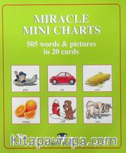 Miracle Mini Charts 505 Words In 20 Cards