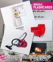 Miracle Flashcards Charts Household Objects (45 Cards)