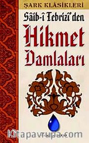 Saib-i Tebrizi'den Hikmet Damlaları