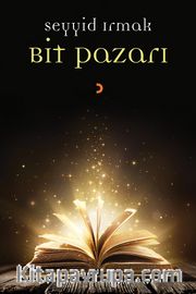 Bit Pazarı