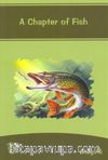 A Chapter Of Fish / Stage 6
