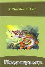 A Chapter Of Fish / Stage 6
