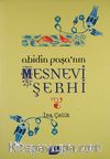 Abidin Paşa'nın Mesnevi Şerhi