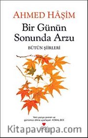 Bir Günün Sonunda Arzu <br /> Bütün Şiirleri