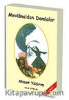 Mevlana'dan Damlalar