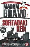 Madam Bravo Sofitadaki Kedi