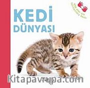 Kedi Dünyası