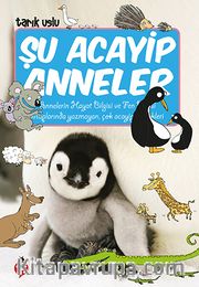 Şu Acayip Anneler