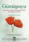Gümüşsuyu